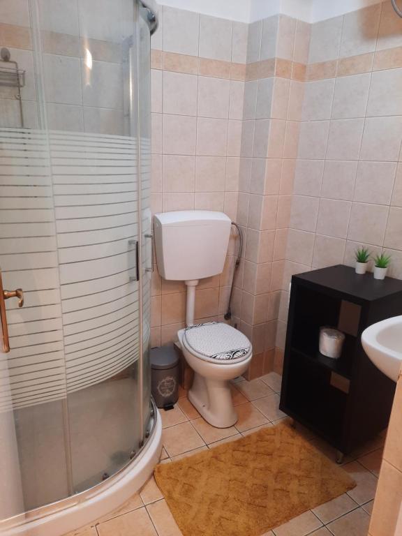 a bathroom with a toilet and a glass shower at Villa 1930 ground floor in Vóroi