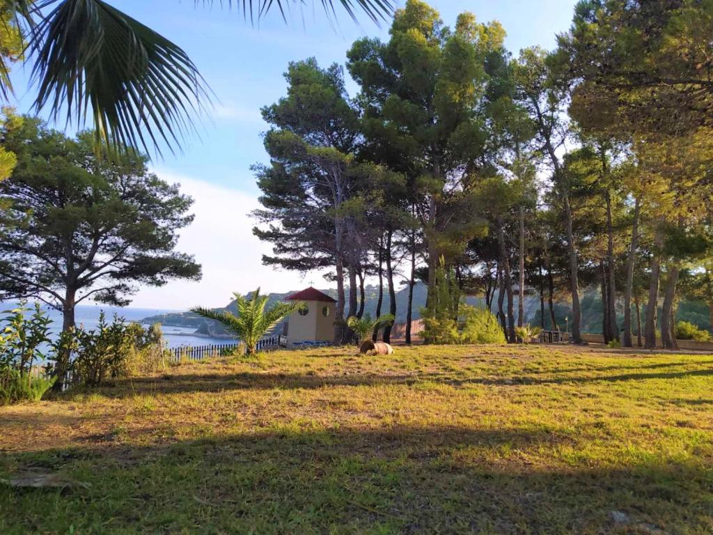 a dog laying on the grass in a field with trees at Vigla Village in Spartià