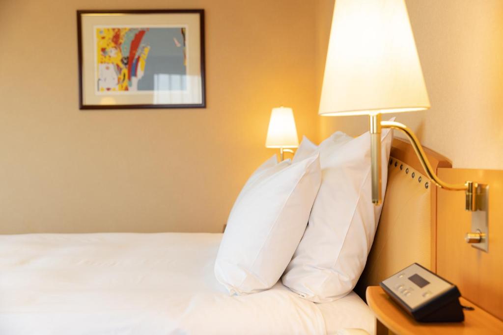 ANA Crowne Plaza Toyama, an IHG Hotel - Premium Queen Room