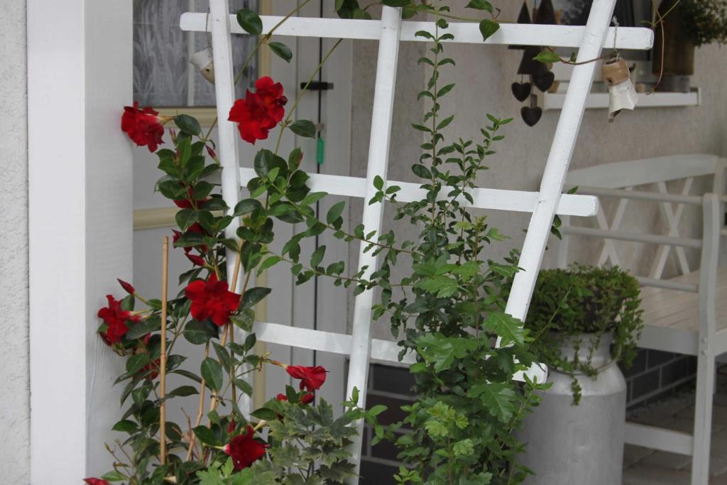 a white fence with red flowers and plants at Ferienhaus Windspiel in Kleeden