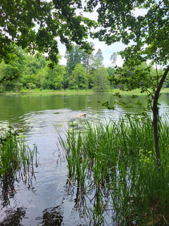 Apartamenty GUSTO Ostróda - 4