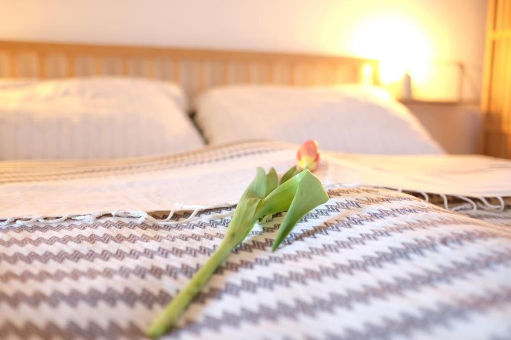 una flor sentada en el borde de una cama en Quartier Romantikum en Güssing