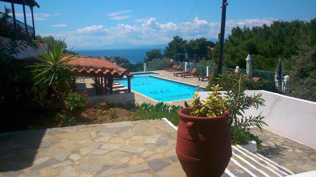 a potted plant sitting next to a swimming pool at Angelina Studios in Kolios