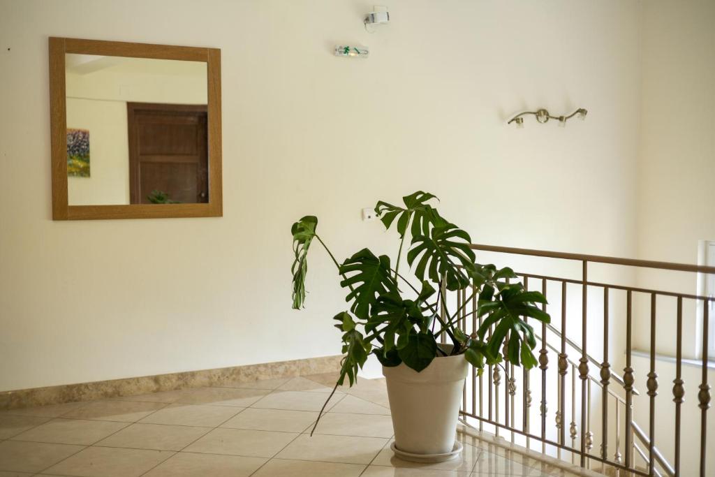 Fotografie z fotogalerie ubytování Chrisovalanto Hotel v destinaci Sivota