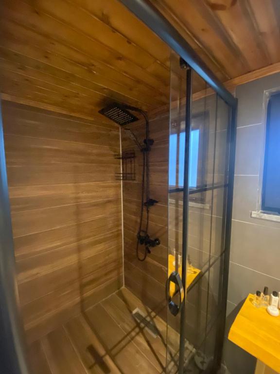 a shower in a bathroom with a wooden ceiling at Deva Garden Tiny House in Yukarı Kocaali