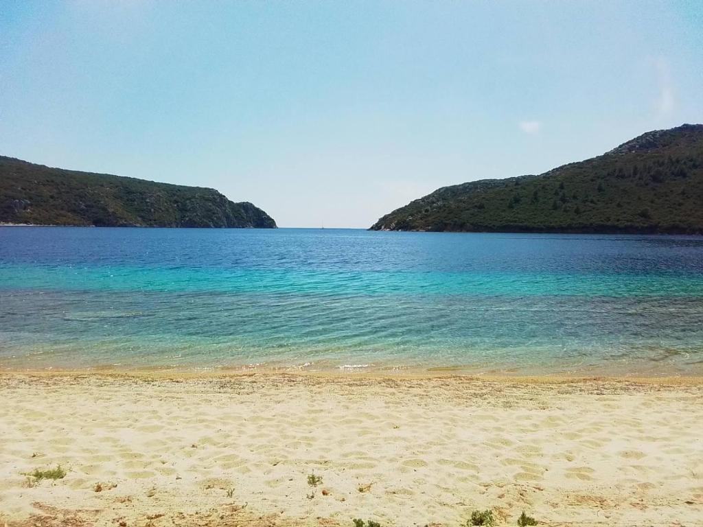 Príroda v okolí vily