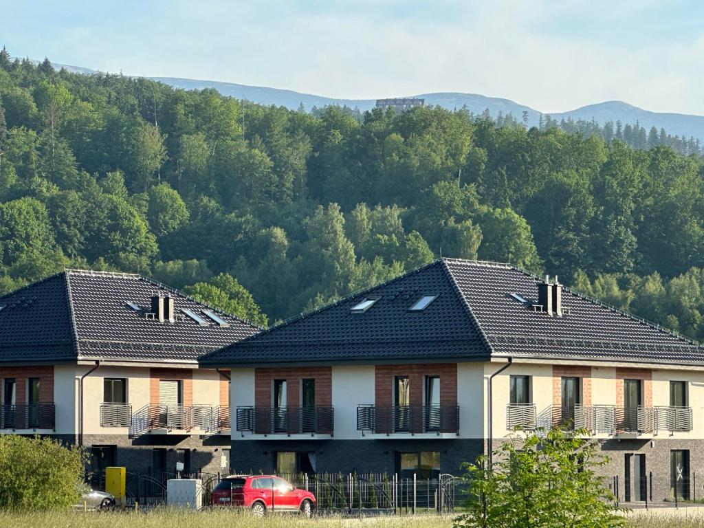 Une rangée de maisons avec des montagnes en arrière-plan dans l'établissement Sosnówka Lake Apartament, à Sosnówka