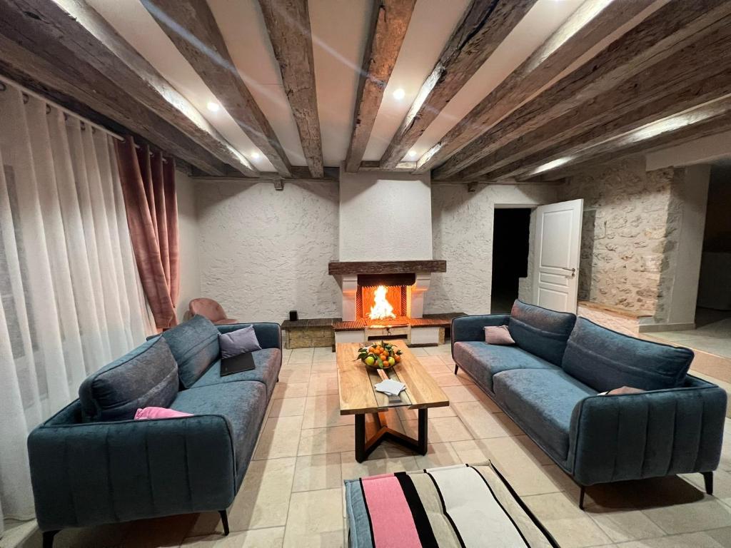 uma sala de estar com dois sofás e uma lareira em Gîte « Les Basse des Grouets » em Blois