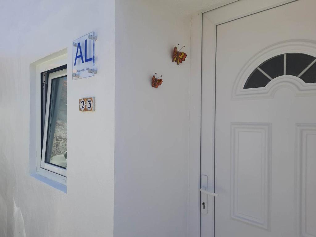 帕塔亞甚的住宿－Grandma villa，门旁墙上有两个虫子
