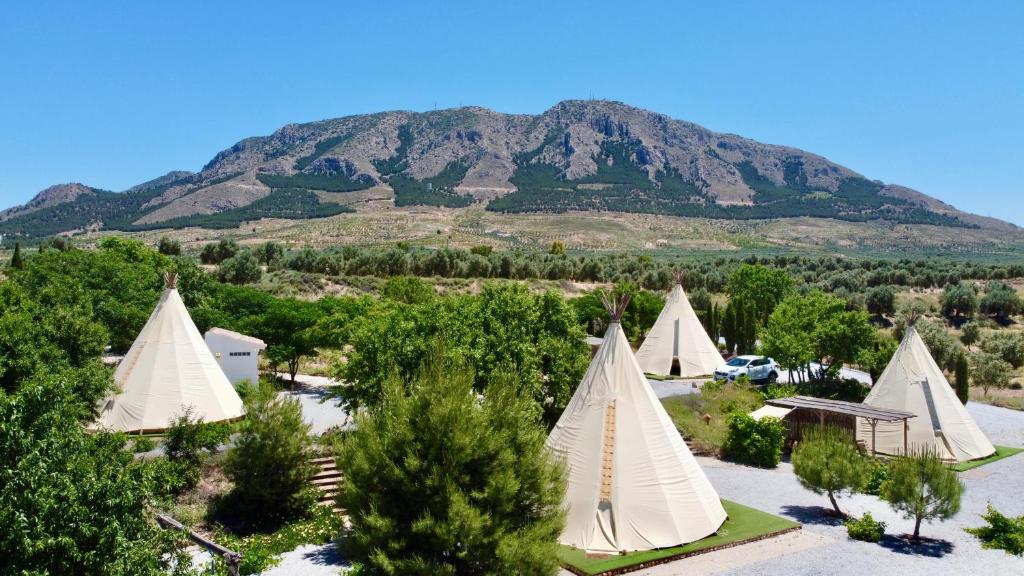 Příroda nedaleko luxury tent
