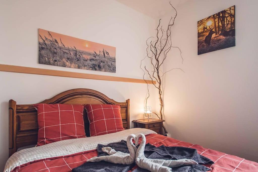 Studio cosy proche centre-ville et gare – photo 6