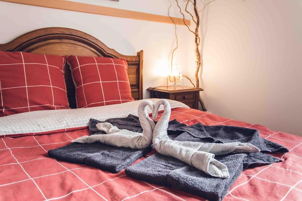 Studio cosy proche centre-ville et gare – photo 13