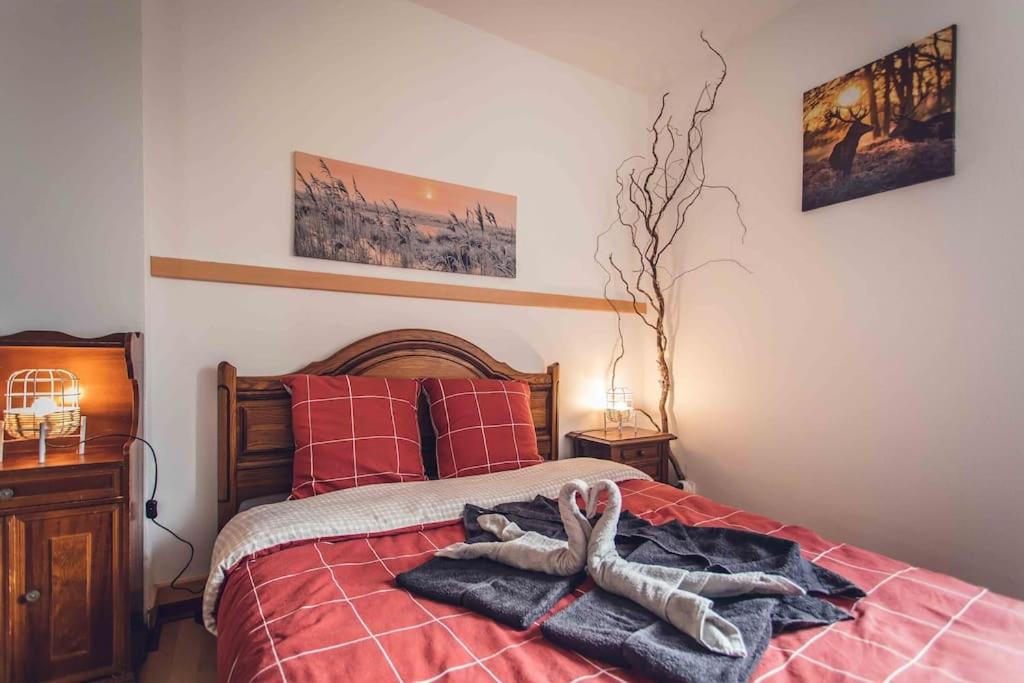 een persoon die op een bed in een slaapkamer ligt bij Studio cosy proche centre-ville et gare in Mulhouse