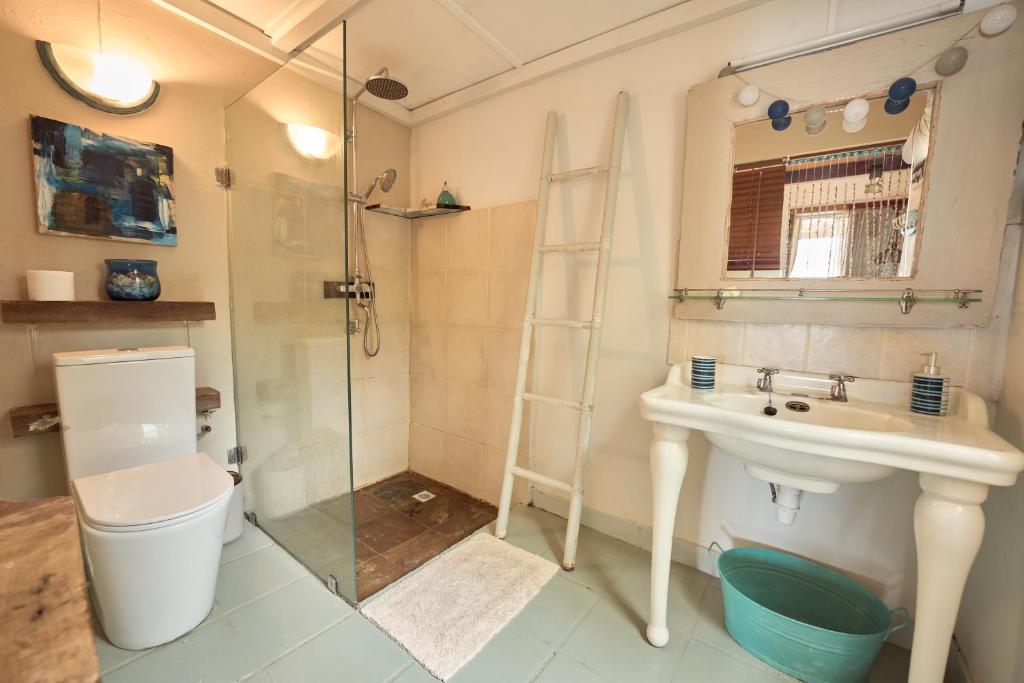 a bathroom with a sink and a shower and a toilet at La Cabane du Pecheur in Rivière Noire