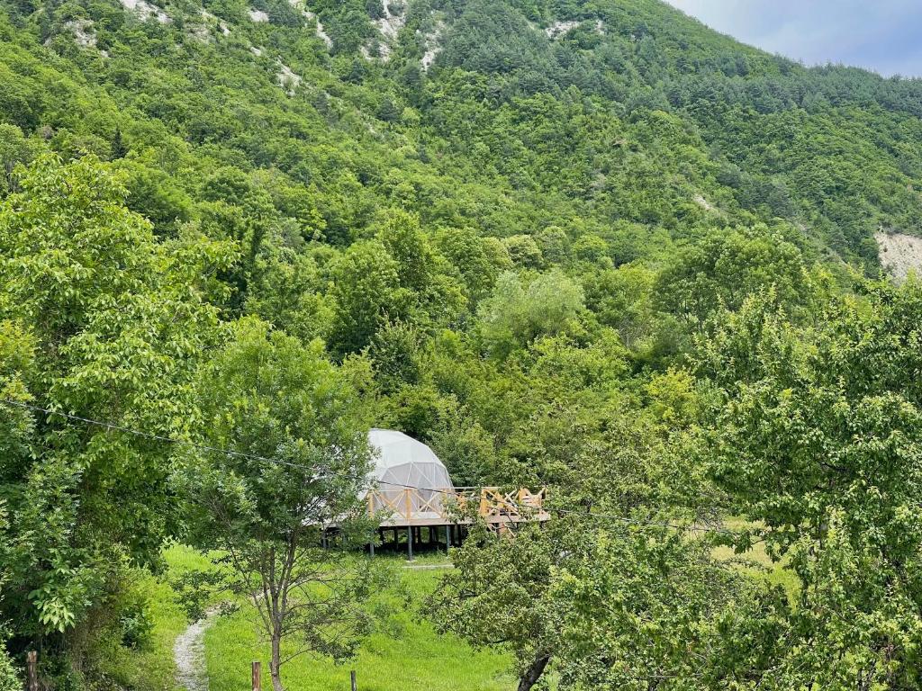 Příroda nedaleko luxury tent
