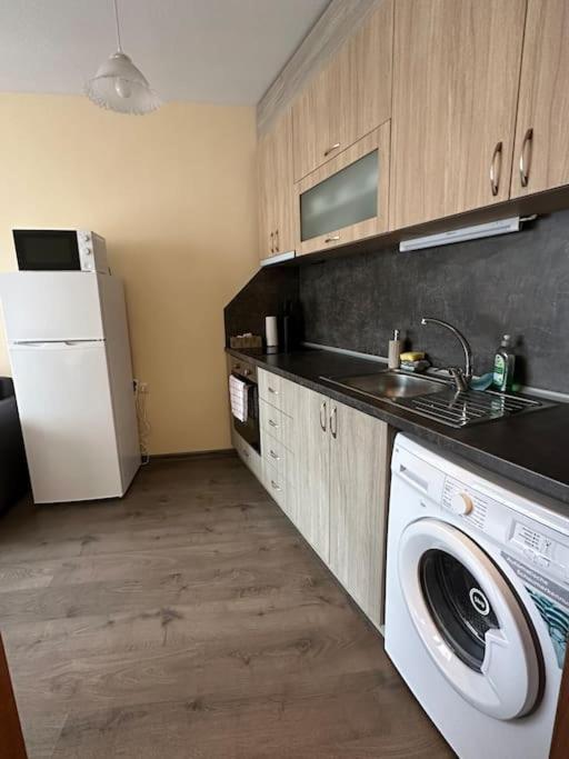 Kuchyň nebo kuchyňský kout v ubytování Apartment Sea wave