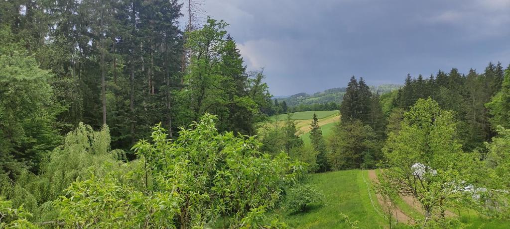 una collina verde e rigogliosa con alberi e un campo di Fuchsbauerhof - Ferienwohnung 