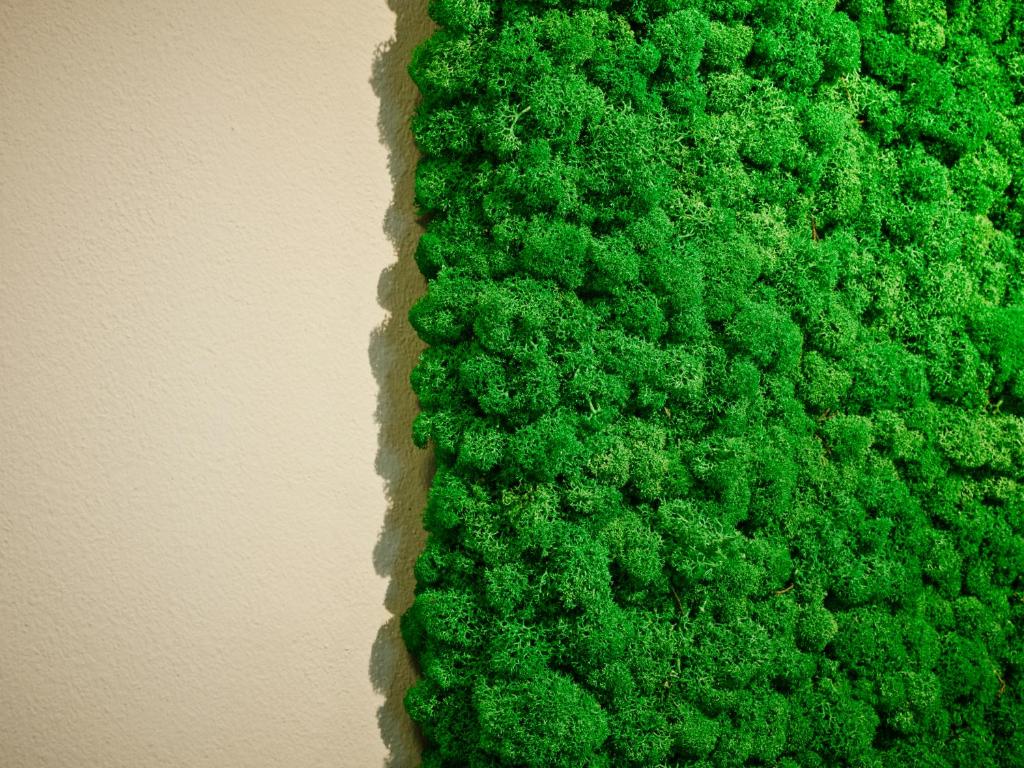 een muur bedekt met groene kunstmatige planten naast een muur bij Holiday Apartments by Das Grüne Hotel zur Post - 100 % BIO & Villa Ceconi in Salzburg
