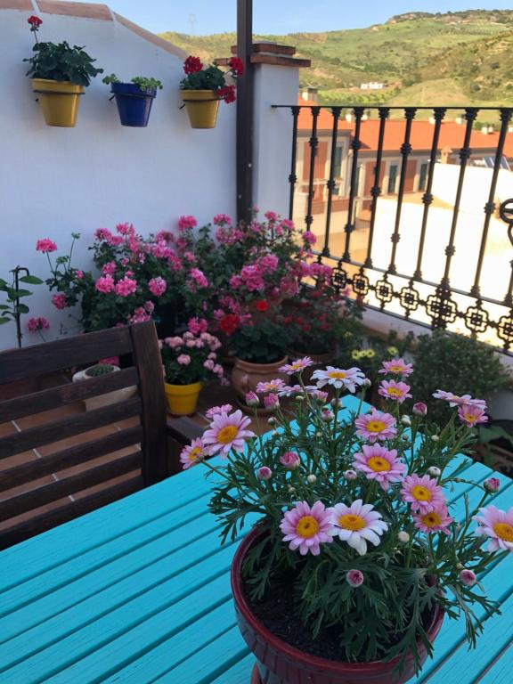 Fotografie z fotogalerie ubytování Terraza Andalucía Centro v destinaci Valle de Abdalagís