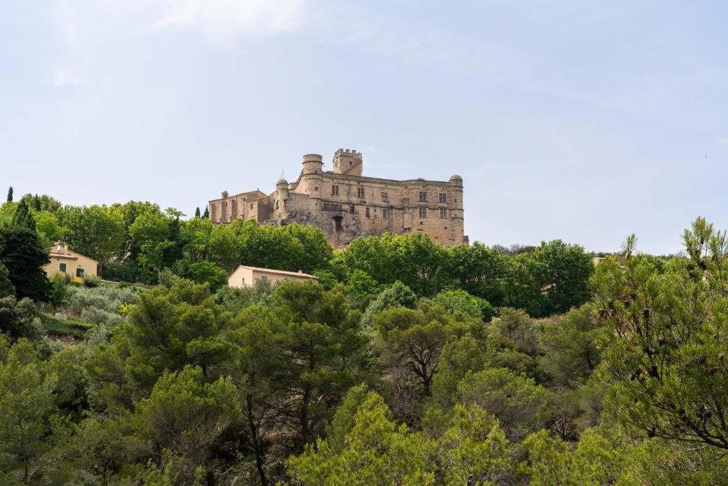 a castle on top of a hill with trees at Studio Meuble Pied Du Ventoux in Malaucène