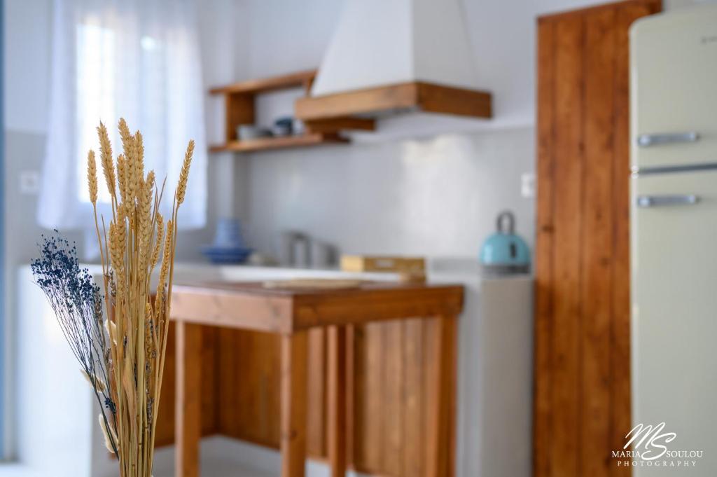 Kuchyň nebo kuchyňský kout v ubytování Siridaki Homes Leros