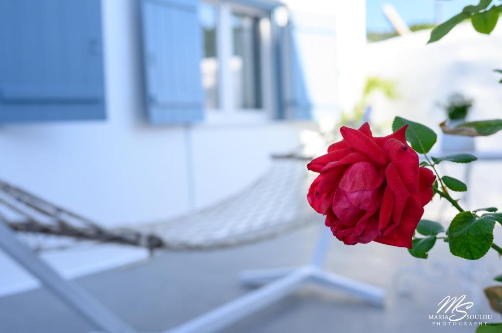 Balkón nebo terasa v ubytování Siridaki Homes Leros