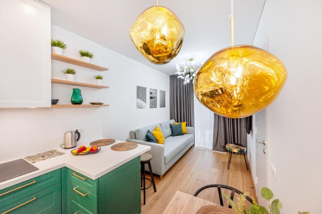 耶德庫安特的住宿－COME2rest - Kalno namai，厨房以及带绿色橱柜和金色吊灯的起居室。