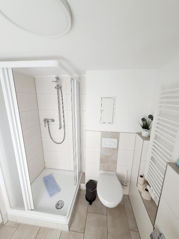 Pension Apostel - Apartment 5