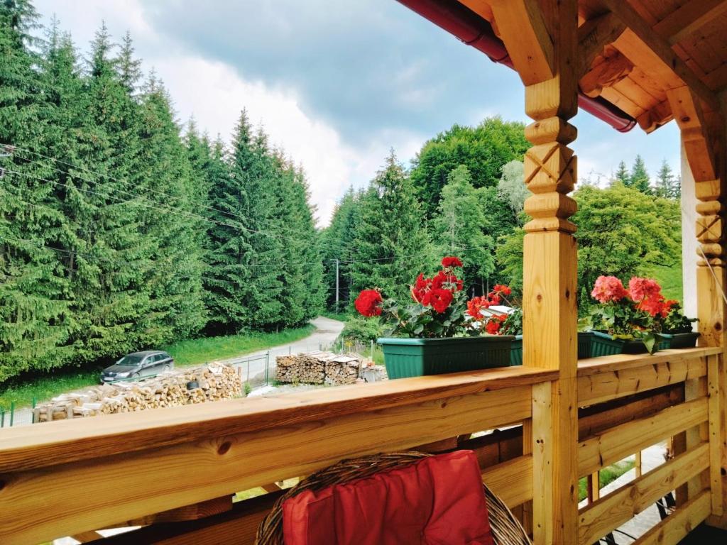 a view from the porch of a log cabin with flowers at Poiana Sașilor - Valea Doftanei in Trăisteni