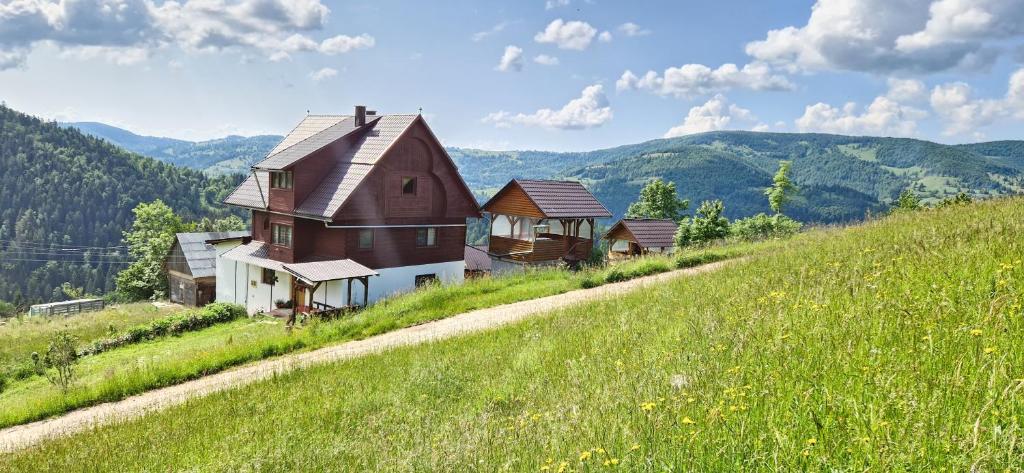 una casa al lado de una colina con un campo verde en Pensiunea Amalia, en Gârda de Sus