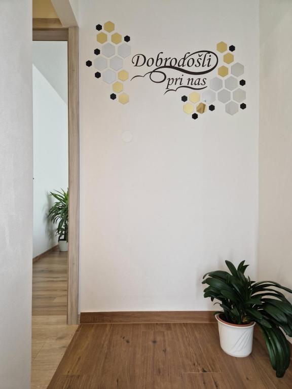 Certifikát, hodnocení, plakát nebo jiný dokument vystavený v ubytování Medeni Apartma