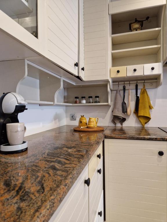 Kuchyň nebo kuchyňský kout v ubytování Medeni Apartma