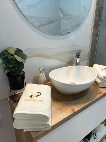 une salle de bain avec un lavabo et un miroir dans l'établissement Centar NS 5, à Novi Sad