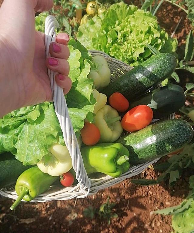 a person holding a basket full of vegetables at Piccolo Giardino in Kali