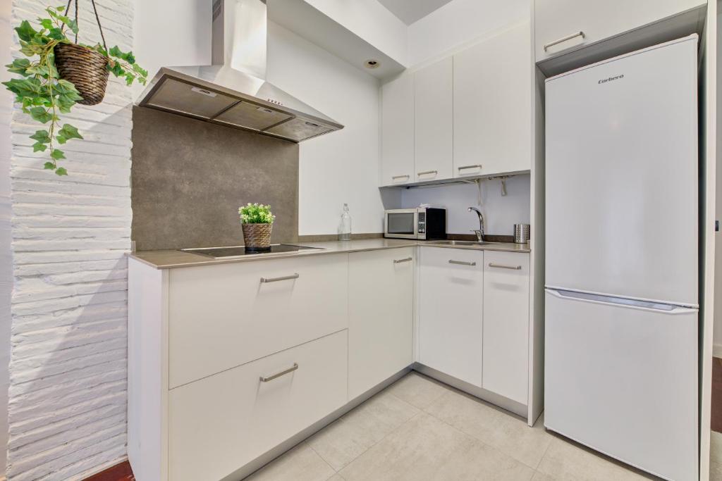 Kuchyň nebo kuchyňský kout v ubytování Apartamentos Rioja Confort by Clabao