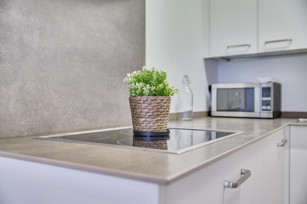 Kuchyň nebo kuchyňský kout v ubytování Apartamentos Rioja Confort by Clabao