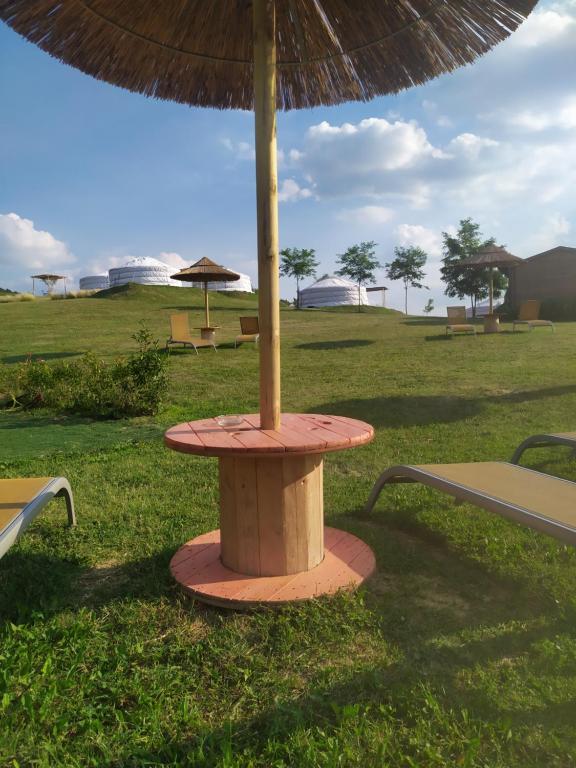 a picnic table with an umbrella in a park at Yurte in Langa in Bosia