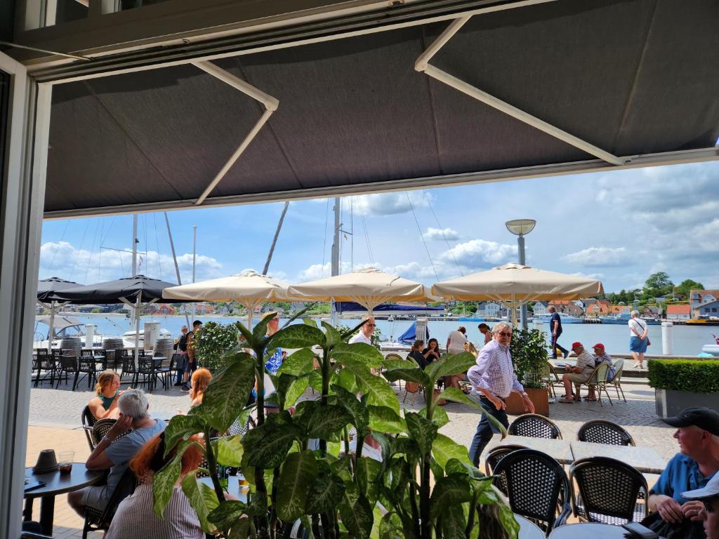 Hosté ubytování Harbour View