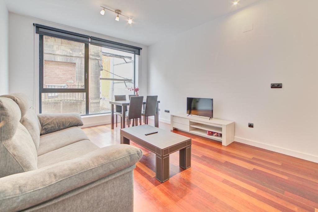 TV a/nebo společenská místnost v ubytování Apartamentos Rioja Confort by Clabao