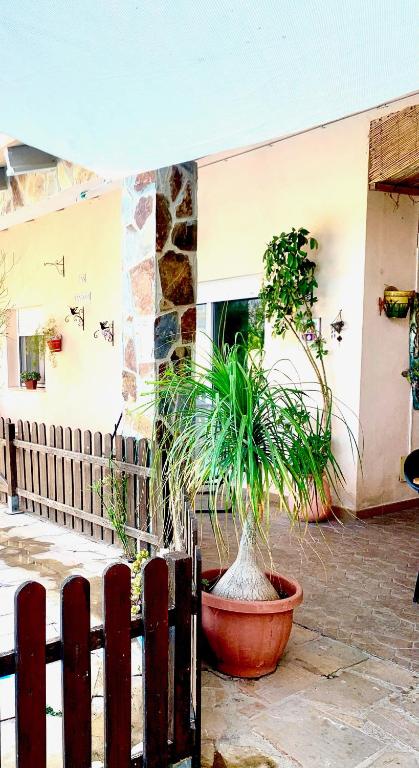 Balkón nebo terasa v ubytování Can Pantoni piscina privada
