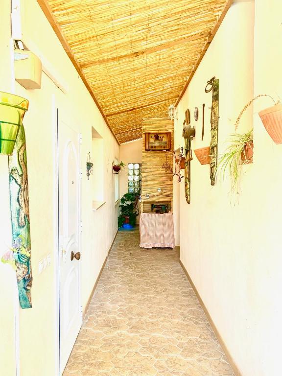 Fotografie z fotogalerie ubytování Can Pantoni piscina privada v destinaci Deltebre