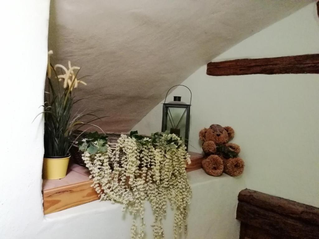 Le Tokay – photo 11