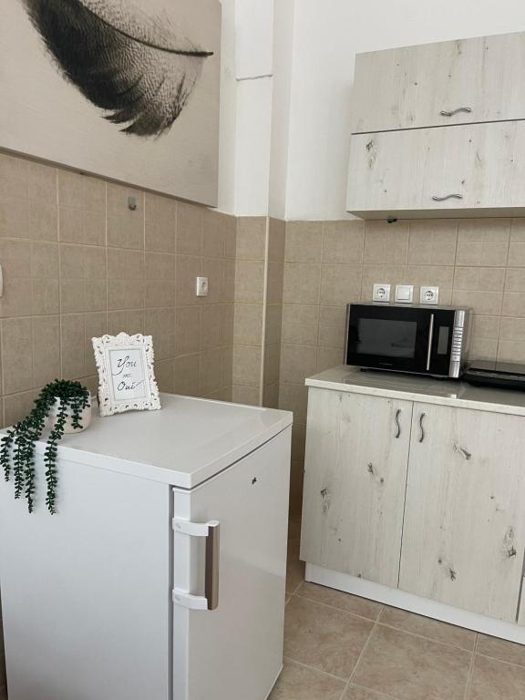 Kuchyň nebo kuchyňský kout v ubytování Apartman Spark