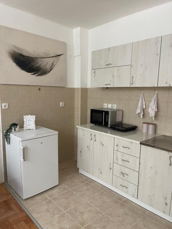 Kuchyň nebo kuchyňský kout v ubytování Apartman Spark