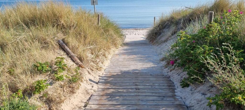 a wooden path leading to a sandy beach at Pension Lemke in Polchow