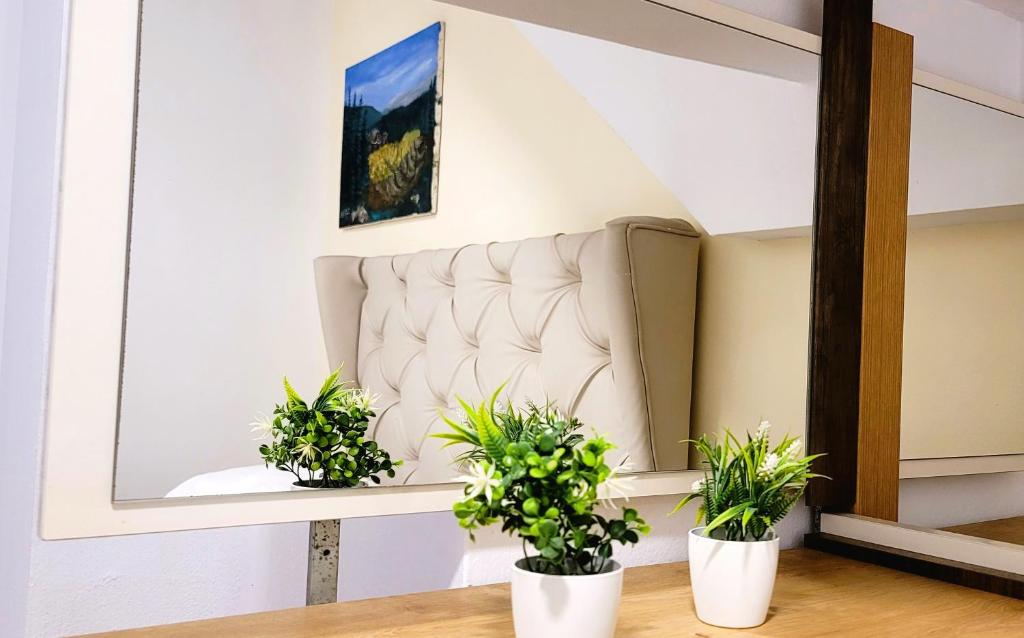 two potted plants sitting on a table in front of a mirror at Studenti Studio's in Tirana