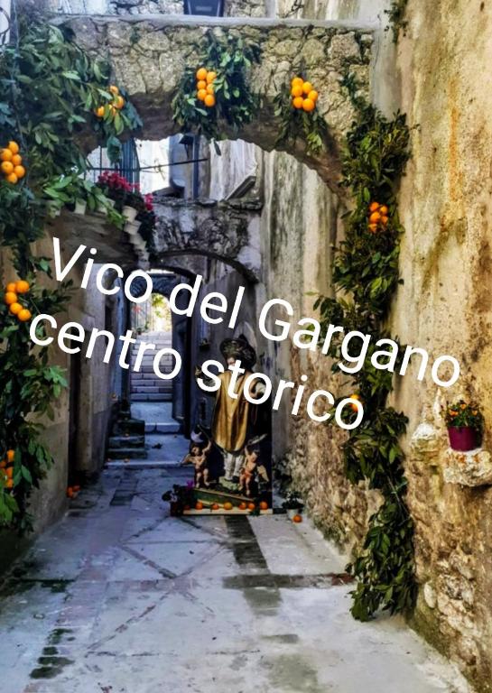 Fotografie z fotogalerie ubytování Casa Pizzarelli v destinaci Vico del Gargano