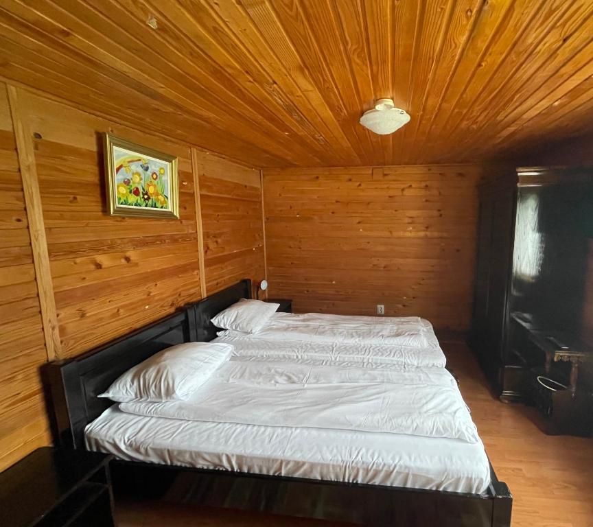 Pensiunea Liliana - Twin Room