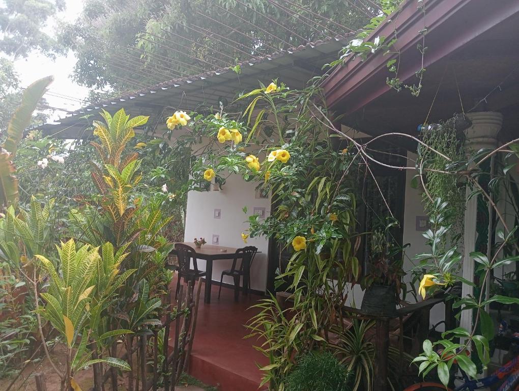 a patio with a table and some plants at Littleadems View in Ella