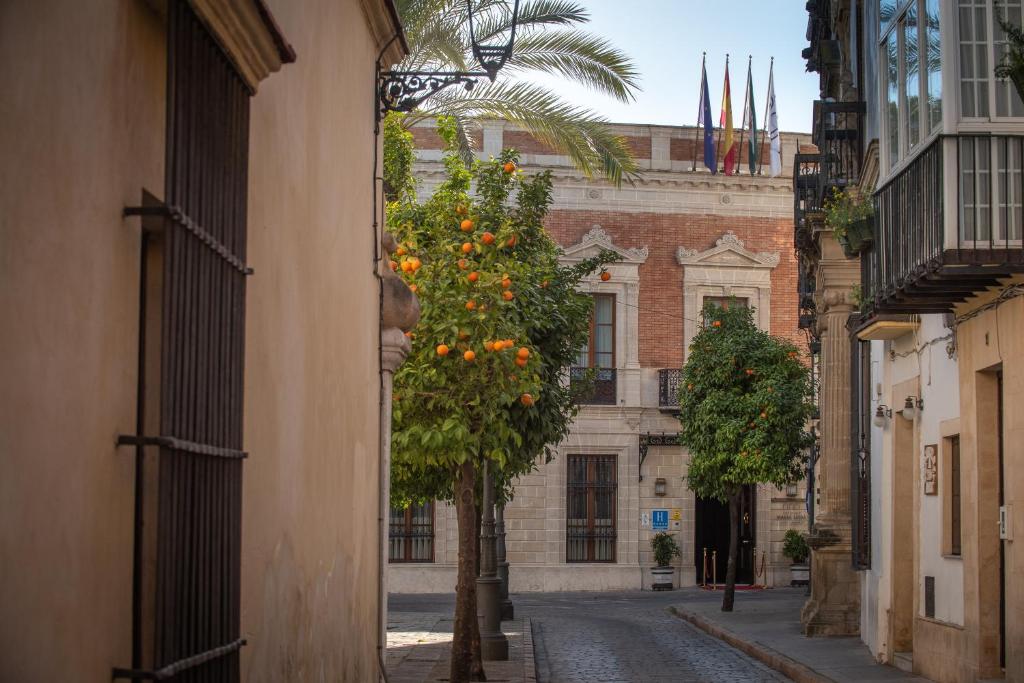 un vicolo con un albero di arancio di fronte a un edificio di Hotel Casa Palacio María Luisa a Jerez de la Frontera